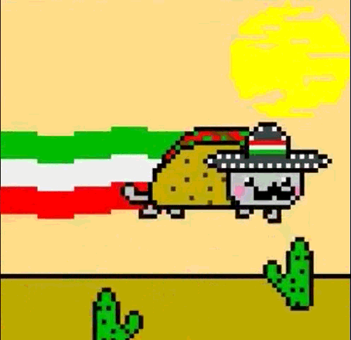 nyan cat taco