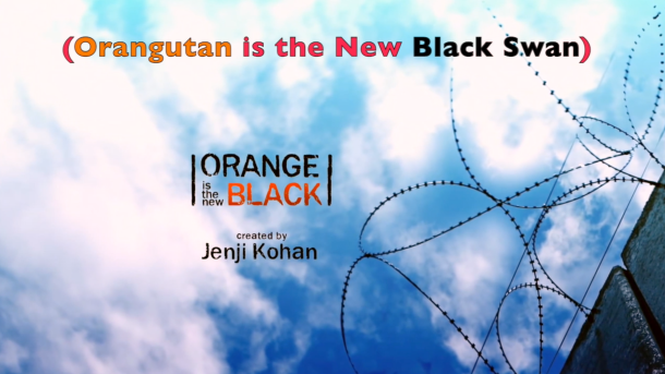 orange is the new black animals parody video